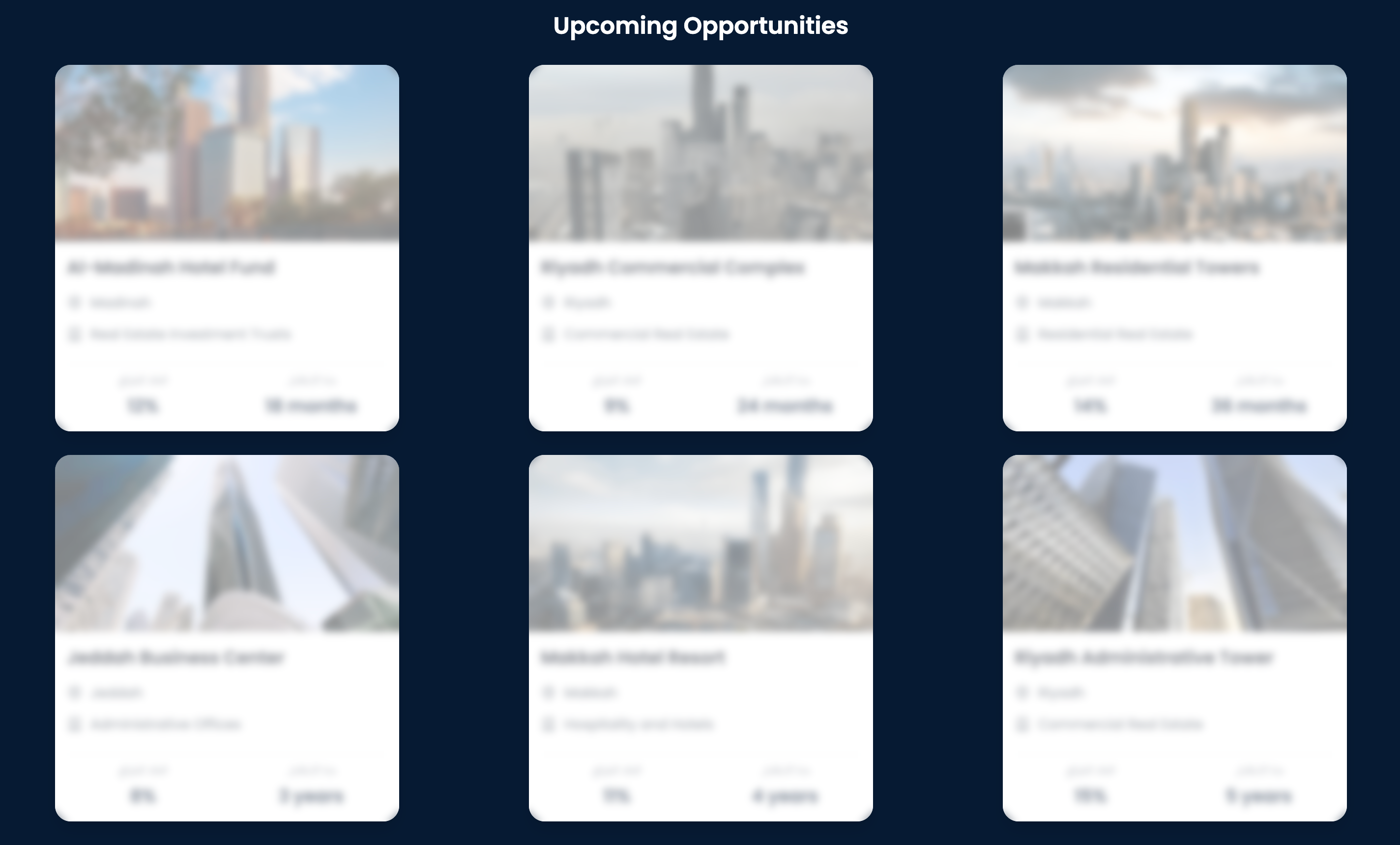 Real Estate Investment Website